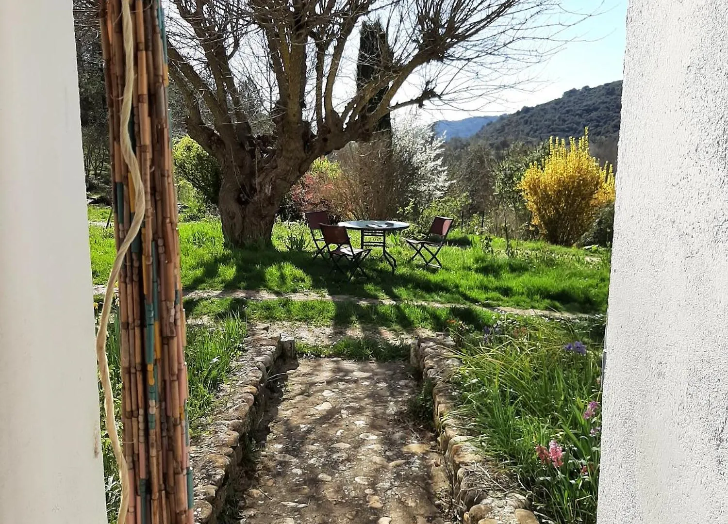 Studio Bas Verdon Allemagne-en-Provence Apartment