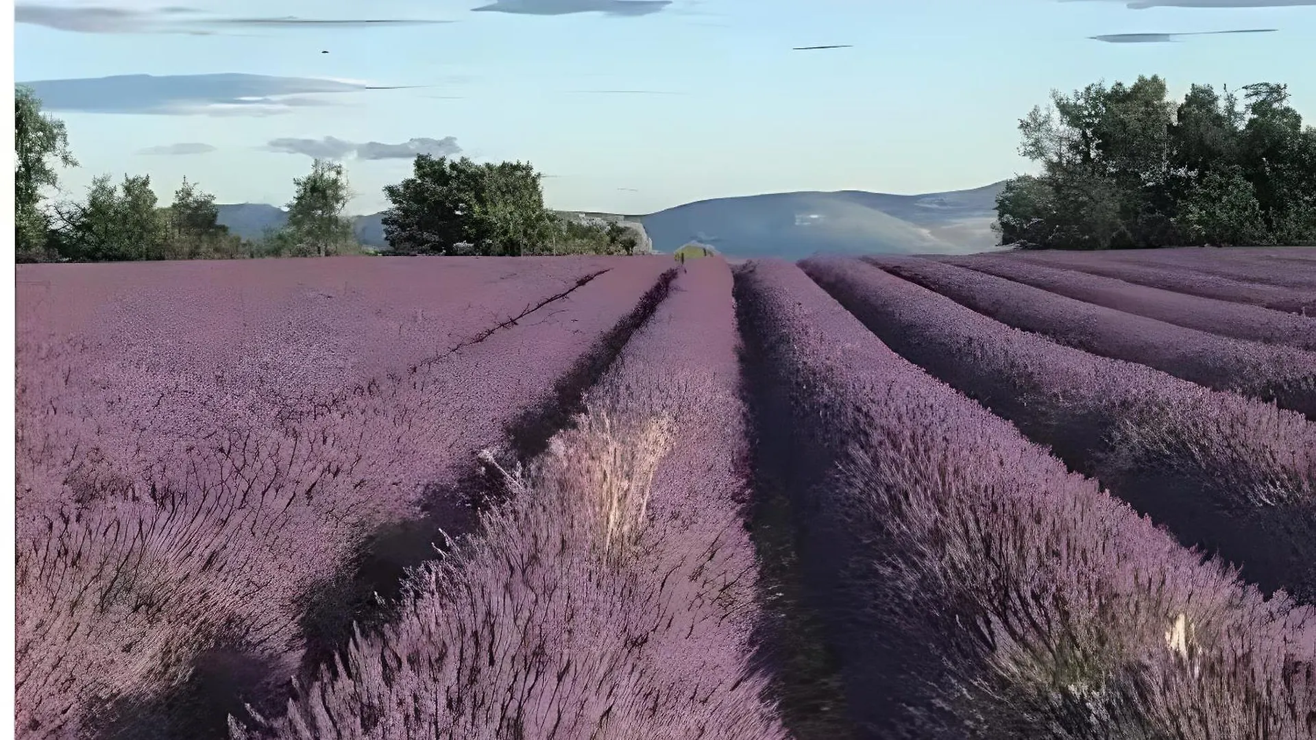 Studio Bas Verdon Allemagne-en-Provence 0*,  France