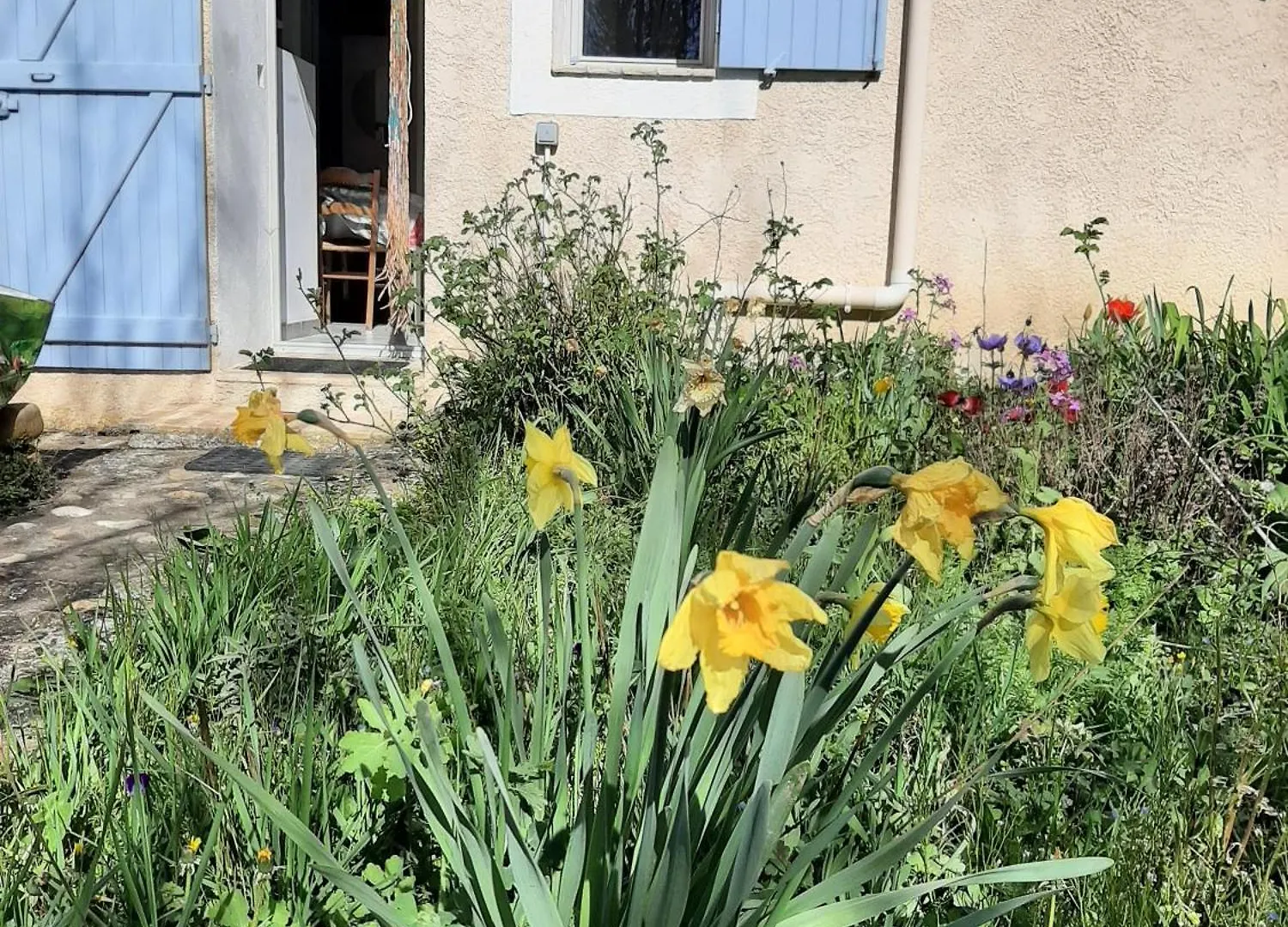Apartment Studio Bas Verdon Allemagne-en-Provence France