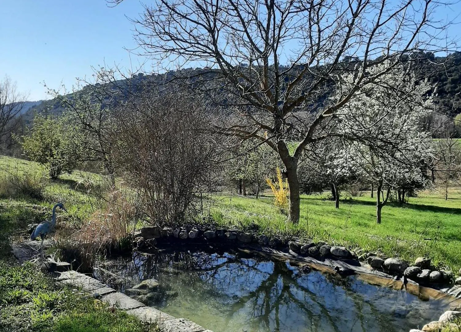 Studio Bas Verdon Allemagne-en-Provence